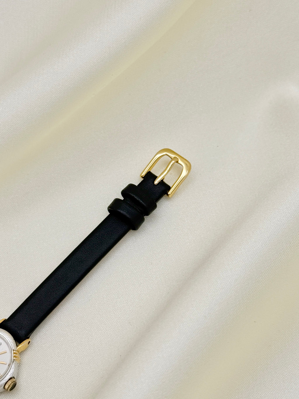 Rare Citizen Petite Textured Bezel with Gold Accents